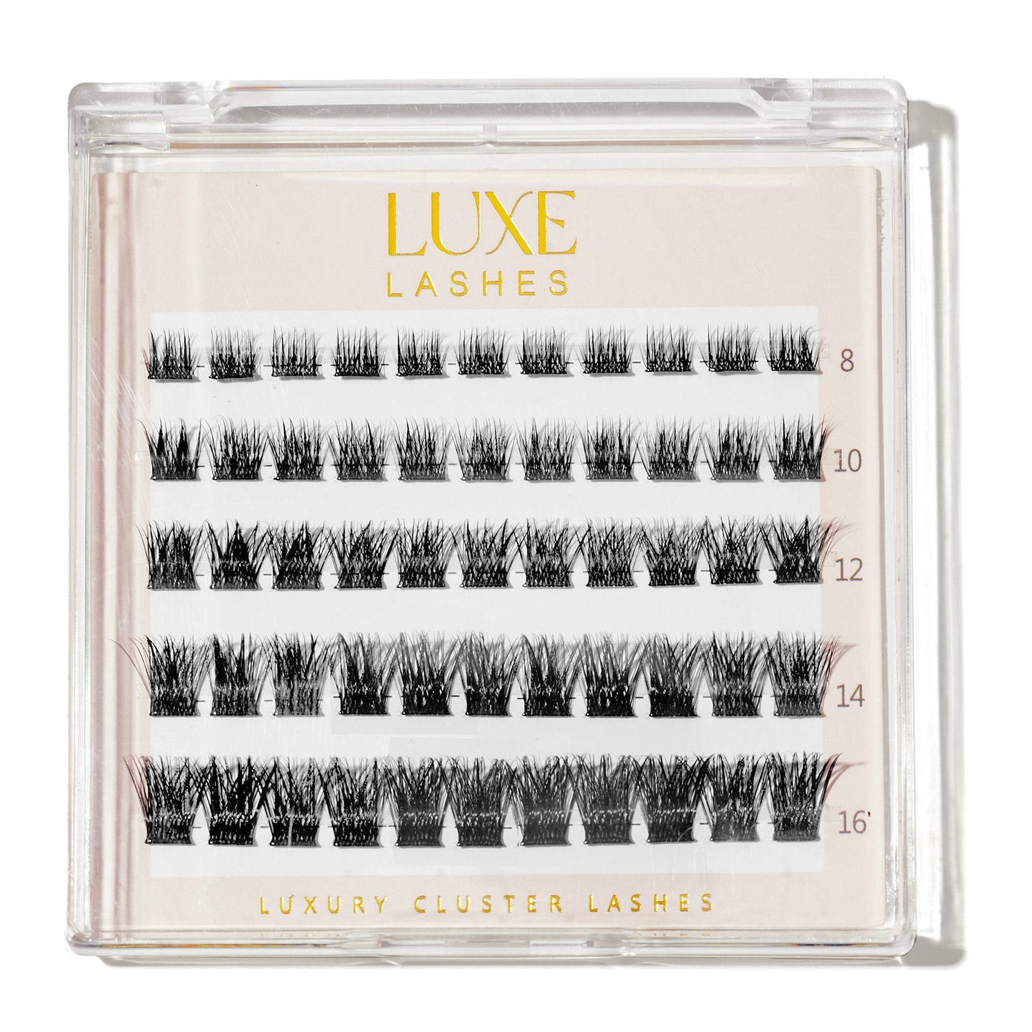 Luxury Cluster Lashes - Volume (Pre-Glued) 55 Pack